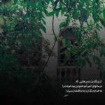 دانلود آهنگ باشه کلاه رفته سرم ولی تورو از رو میبرم از محسن یگانه