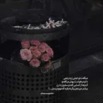 دانلود آهنگ به اون شاخه گلی که روی موهاته نزن دست