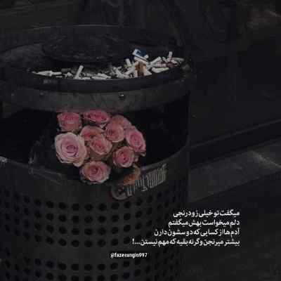دانلود آهنگ  به اون شاخه گلی که روی موهاته نزن دست