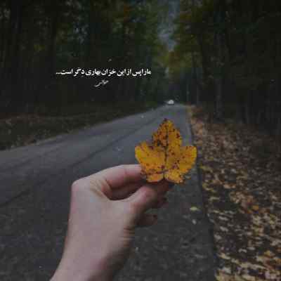 دانلود آهنگ  ﺑﻤﻴﺮم اﮔﻪ ﻳﺎر دل دل ﻛﻨﻪ از حیدو هدایتی