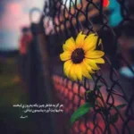 دانلود آهنگ بین ما هفت کوه دریا