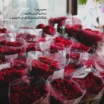 دانلود آهنگ بو بو بو یه دلبری بو بو بو حور پری از سجاد باغنده