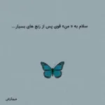 دانلود آهنگ بزرگ نشیم کاشکی چون دلتنگی داره