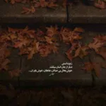 دانلود آهنگ چون عاقبت کار جهان نیستی است انگار که نیستی چو
