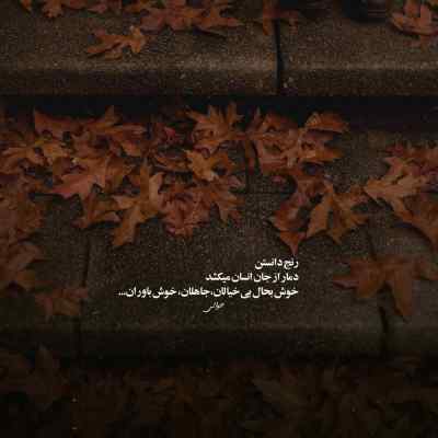 دانلود آهنگ  چون عاقبت کار جهان نیستی است انگار که نیستی چو
