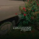 دانلود آهنگ دل به هرکی دادی از سادگی دادی محسن چاوشی
