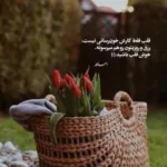 دانلود آهنگ دل شب یادت کرده دلم سپهر پندار