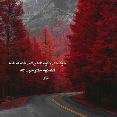 دانلود آهنگ  دلم برات تنگ شده نیستی حالم بد شده از داوود یونسی