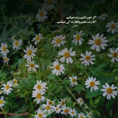 دانلود آهنگ  عشق دردونمو دلبر جذاب من از مرتضی اشرفی