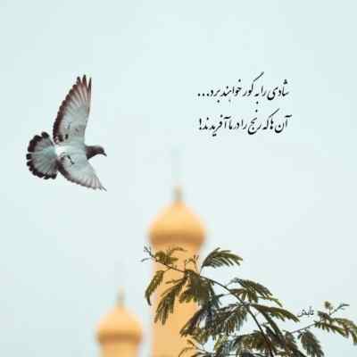 دانلود آهنگ  دیر فهمیدم که جای شاه ماهی برکه نیست