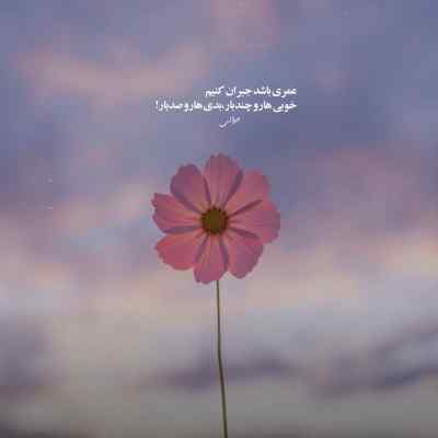 دانلود آهنگ  دوباره لش نفس هست امید نه از شایع