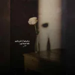 دانلود آهنگ دنیات پر احساسه اما واسه من جا نیست