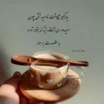 دانلود آهنگ برو دور دور دور شو از من
