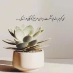 دانلود آهنگ امید امشب میخوام مست بشم کنسرت