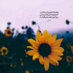 دانلود آهنگ امشو پرستاریم کو ریمیکس اینستاگرام