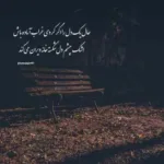 دانلود آهنگ ای همه خوبی همه پاکی