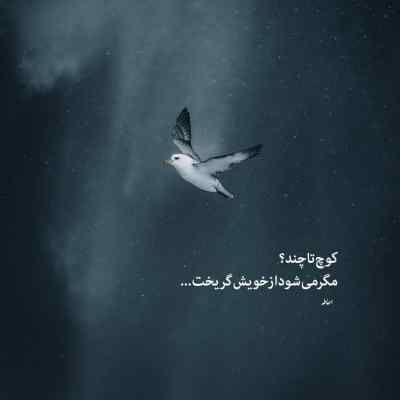 دانلود آهنگ  روزگار غمت نصیب من شد از فرهاد خداشناس