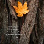 دانلود آهنگ دست یار منه دستت بو خدا چه حالی داره فرشید حکمتی