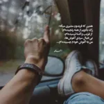 دانلود آهنگ فكر بلبل همه آن است كه گل شد یارش
