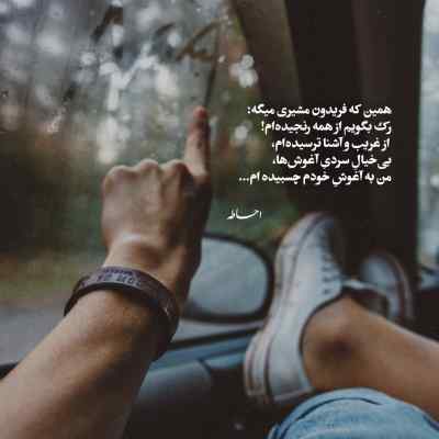 دانلود آهنگ  فكر بلبل همه آن است كه گل شد یارش