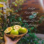 دانلود آهنگ گشتم نبود نگرد نیست مثل ما از مهیار