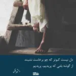 دانلود آهنگ حامیم ﺗﻮ ﻋﺸﻘﺸﻮ داری ﺑﮕﻰ ﻳﻪ ﻧﻔﺮ و داری