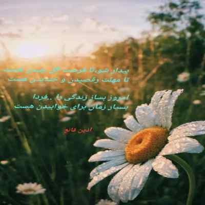 دانلود آهنگ  حالا دیگه قلبم با حسرت و غم مونده رو دستم