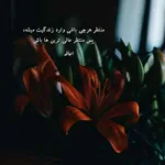 دانلود آهنگ حالا من موندمو یه کنج خلوت ریمیکس رپ