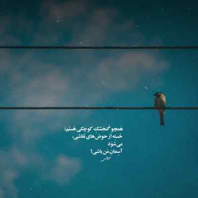دانلود آهنگ  تبر از هایده هوش مصنوعی