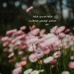دانلود آهنگ خوشا ای دل بال و پر زدنت با صدای زن