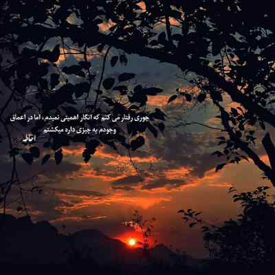 دانلود آهنگ  کردی دلکم باوانم اینستا