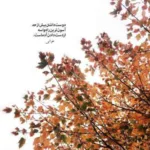 دانلود آهنگ مال من باش تتلو