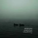 دانلود آهنگ من مهربون بودم باهات اما ندیدی گلم میثم حسینی