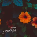 دانلود آهنگ مسعود صادقلو حالا حالا باهات حالت مجنون دلم