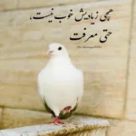 دانلود آهنگ مازیار ناصری دیدی یادت رفت
