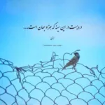 دانلود آهنگ مهدی جمالی از همه ادما دل میکنم