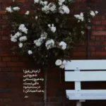 دانلود ریمیکس مثل سیگار نخ به نخ دنیامو نابود میکنه از رامین تجنگی