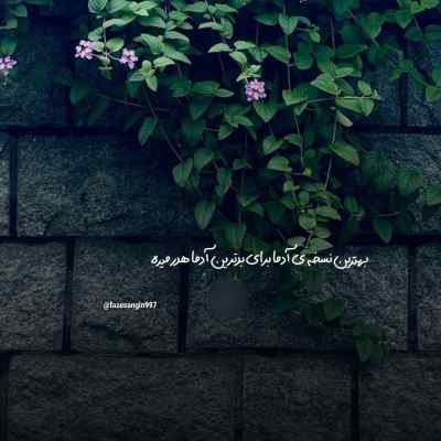 دانلود آهنگ  مو مشکی فراری خوشگل لب اناری از میثم احمدی