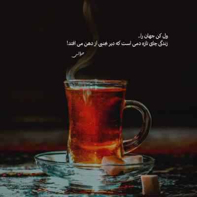 دانلود آهنگ  میگم همه ستاره ها چراغ راه تو بشن