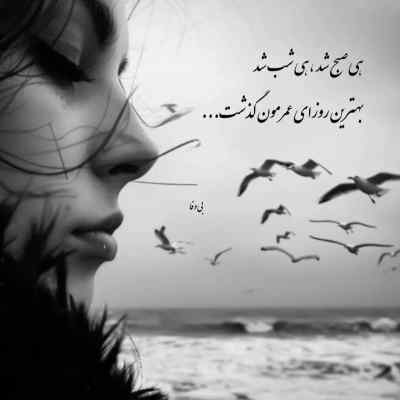 دانلود آهنگ  میمیرم اگه بازم بخواد بیاد نگات کنه