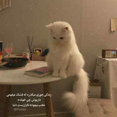 دانلود آهنگ  رویا