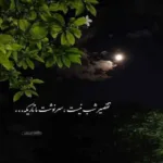 دانلود آهنگ محمد علیزاده مرد که گریه نمیکنه