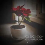دانلود آهنگ محمد گلریز این پیروزی خجسته باد
