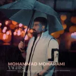 دانلود آهنگ یاغیش از محمد محرمی