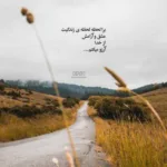 دانلود آهنگ محمدرضا شجریان ای دل چو زمانه میکند غمناکت