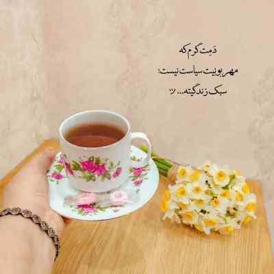 دانلود آهنگ  ما زیاران چشم یاری داشتیم