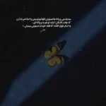 دانلود آهنگ محسن چاوشی اشکات مثل گل توی باد پر پر زدن پر پر شدن