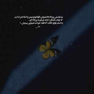 دانلود آهنگ  اشکات مثل گل توی باد پر پر زدن پر پر شدن