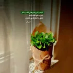 دانلود آهنگ مرتضی پاشایی مگه میشه باشیو تنها بمونم