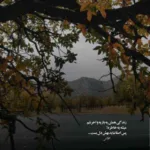 دانلود آهنگ سلامتی حال خوش صفای احوال خوش از مصطفی ابراهیمی